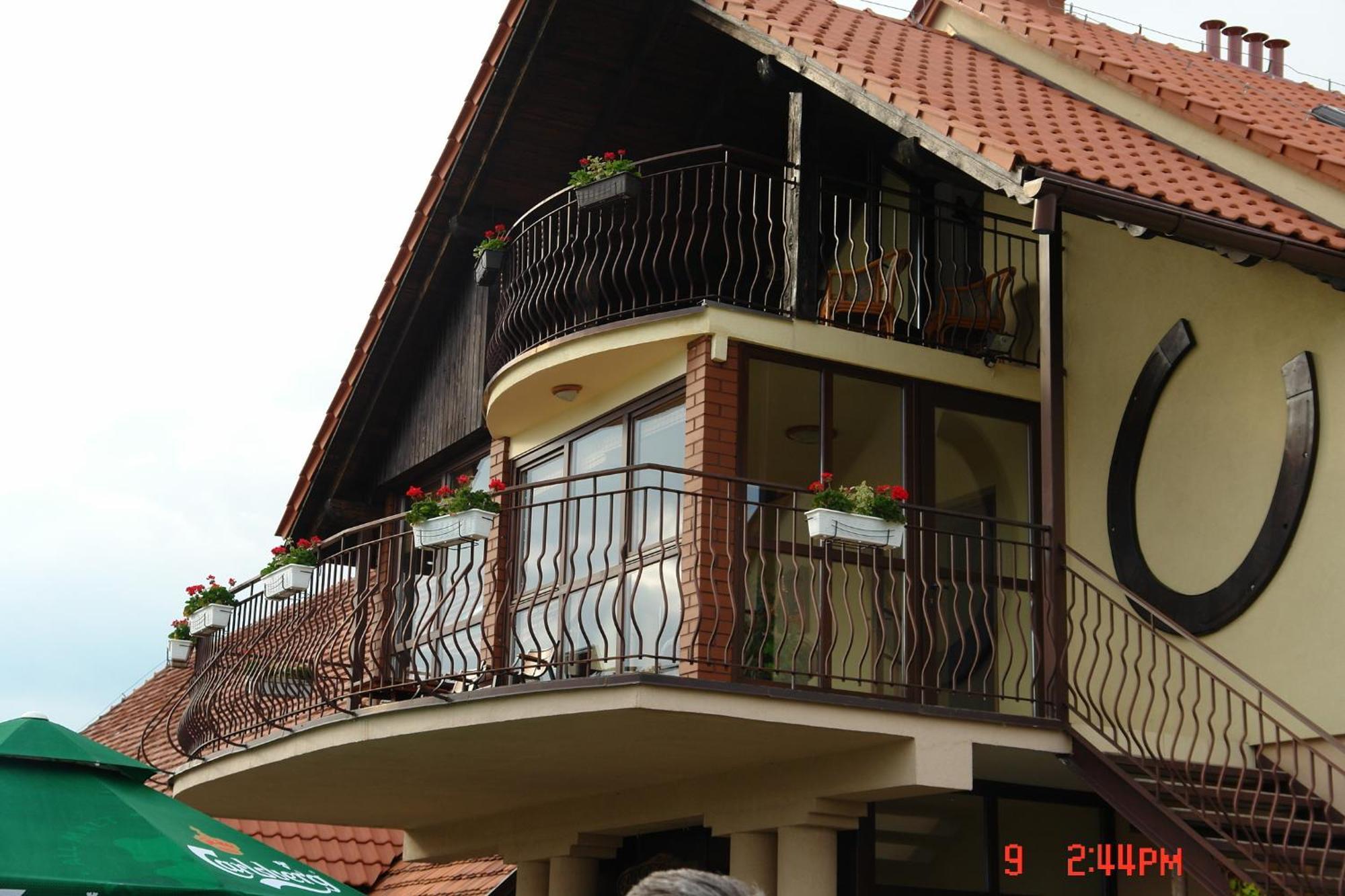 Podkowa Modliszow Villa Eksteriør bilde